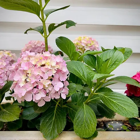 Dom wakacyjny Seaside With Private Garden *