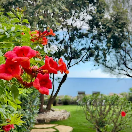 Seaside With Private Garden *