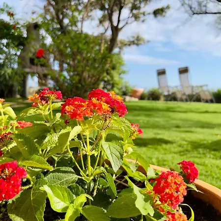 Seaside With Private Garden Dom wakacyjny Cittadella del Capo