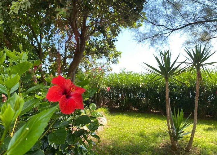 Seaside With Private Garden בית נופש
