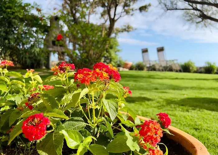 Seaside With Private Garden בית נופש צ'יטדלה דל קאפו