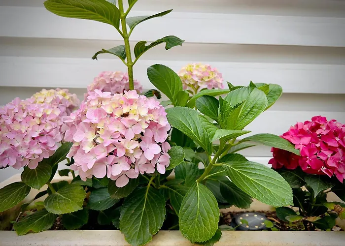 Casa de Férias Seaside With Private Garden *